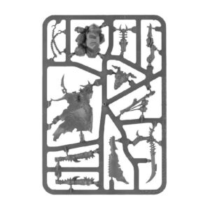 Combat Patrol_ Drukhari Sprues1