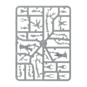 Combat Patrol_ Drukhari Sprues4