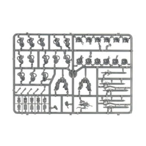 Grey Knights Paladins Sprues