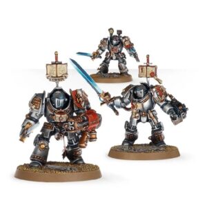 Grey Knights Paladins6