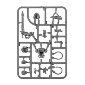 Primaris Librarian Sprues1