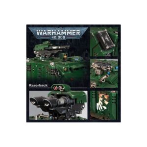 Razorback4