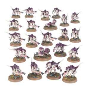20 Termagants