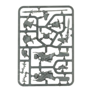 Farseer Skyrunner Sprues1