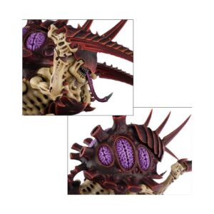 Maleceptor Details