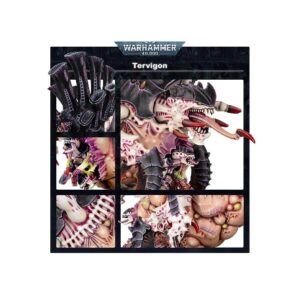 Tervigon Details