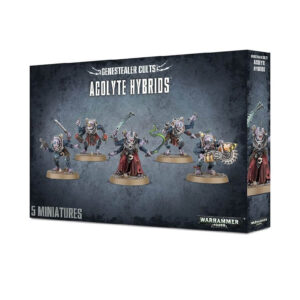 Hybrid Metamorphs Box