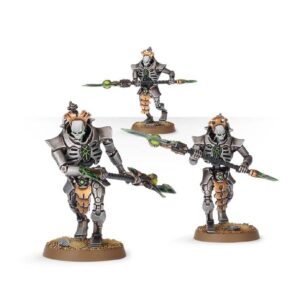 Lychguard4