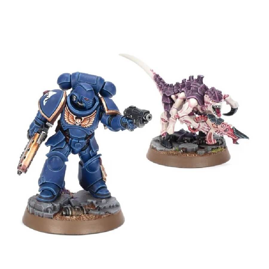 im trying to start getting into warhammer but sadly I have a tight budget,  I've found this army painter set, is it any good when used in Space  Marines? : r/Warhammer40k