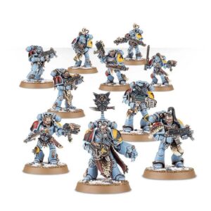 Grey Hunters Models