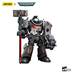 Grey Knights Terminator Caddon Vibova Action Figure Front View